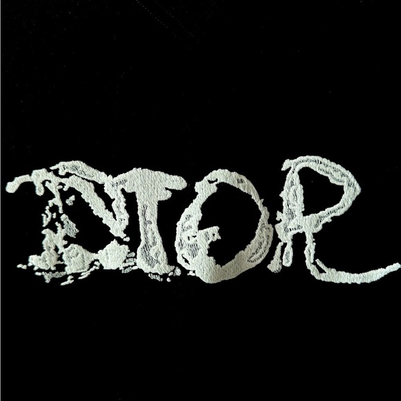 Christian Dior Homme x Peter Doig Oversized 2021 Logo T-Shirt in Black - Picture 2 of 6